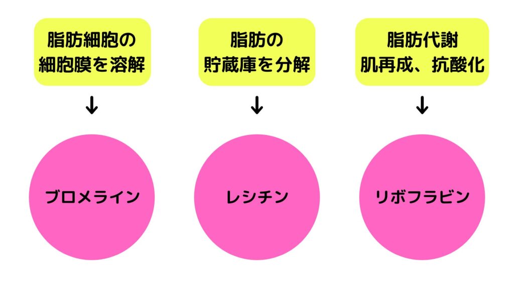レモンボトルの主成分イメージ